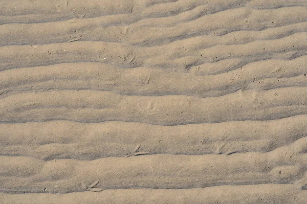 Beautiful Closeup View Sandy Sea Bottom Patterns Seen Sandymount Beach — Stock Photo, Image