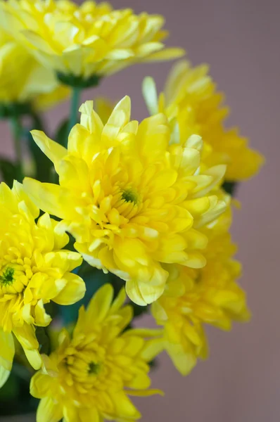 Ein Strauß gelber Blumen — Stockfoto