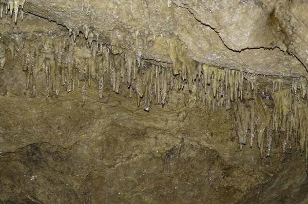Many stalactites on the ceiling of a cave with water drops