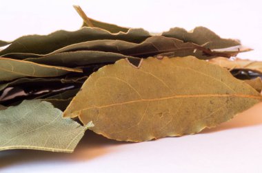 Defne yaprağı kazık bir odak ile