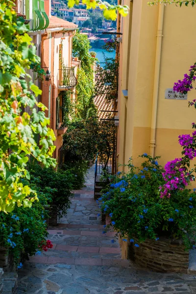 Collioure Χωριό Στην Ακτή Vermeille Occitanie — Φωτογραφία Αρχείου