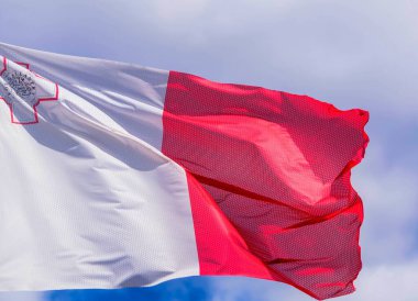 Avrupa Birliği üyesi bir ülkenin bayrağı.