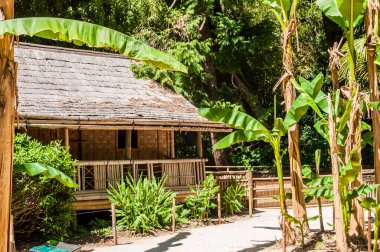 Bambu evi ya da konut, Asya ülkelerinde bulunabilir..