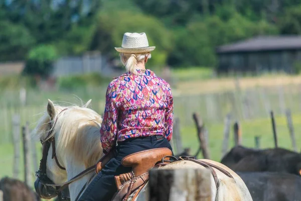 Sortera Tjurar Efter Gardianer Hjord Camargue Frankrike — Stockfoto