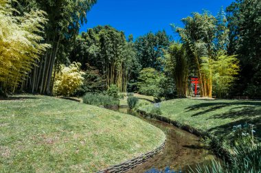 Japon bahçesinin güzelliği ve sükuneti..