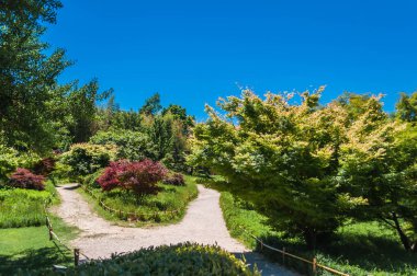 Japon bahçesinin güzelliği ve sükuneti..