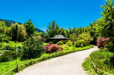 Japon bahçesinin güzelliği ve sükuneti..