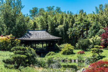 Japon bahçesinin güzelliği ve sükuneti..