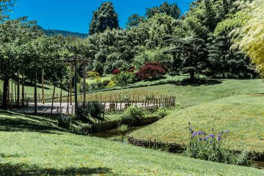 Japon bahçesinin güzelliği ve sükuneti..