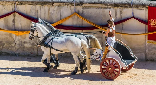 Reconstructie Arena Van Een Romeins Wagenras — Stockfoto