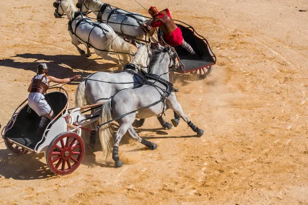 罗马战车种族在竞技场的重建 免版税图库照片