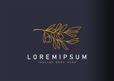 Doğal zeytin bitkisi logosu tasarımı. Botanik zeytin bitkisinin vektör çizimi. Satır sanat simgesi biçiminde modern logo tasarımı.