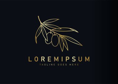 Lüks botanik zeytin logosu tasarımı. Marka için altın zeytin dalının vektör çizimi. Vintage logo tasarım vektör çizgisi şablonu