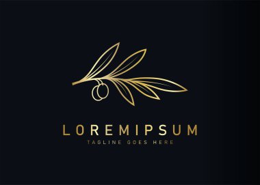 Lüks botanik zeytin logosu tasarımı. Marka için altın zeytin dalının vektör çizimi. Vintage logo tasarım vektör çizgisi şablonu