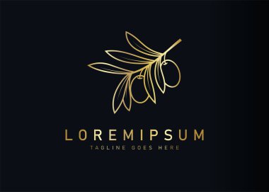 Altın zeytin logosu tasarımı. Marka olarak zeytin dalının vektör çizimi. Vintage logo tasarım vektör çizgisi şablonu