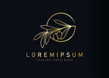 Altın zeytin dalı logosu tasarımı. Çemberli botanik zeytinin vektör çizimi. Vintage logo tasarım vektör çizgisi şablonu