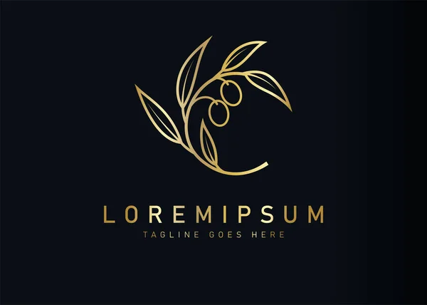 Lüks botanik zeytin logosu tasarımı. Marka için altın zeytin dalının vektör çizimi. Vintage logo tasarım vektör çizgisi şablonu
