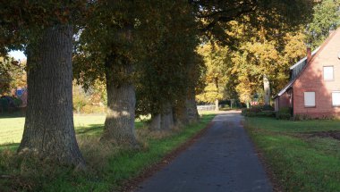 Yolun bir tarafında bir sıra meşe ağacı var. Diğer tarafta Almanya 'nın bu bölgesinin standartlarına uygun bir ev var..