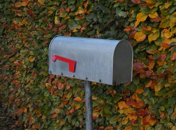 Aluminium Brievenbus Voor Een Beukenheg — Stockfoto