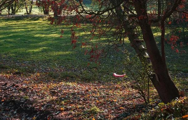 Abandoned Climbing Tree Swing Meadow Fallen Foliage Bottom Autumn — Stock Photo, Image