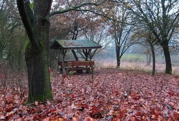 Picnic Bench Woods Leaves Ground Misty Day November Location Itterbeck — Stock Photo, Image