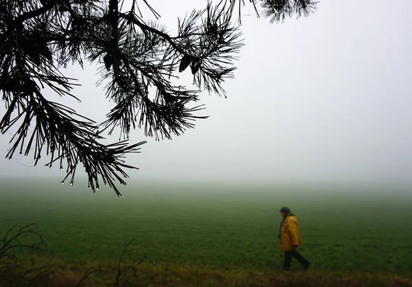 Lonely Elderly Hiker Fog Foreground Fir Branch Background Traveler Dusty — Stock Photo, Image