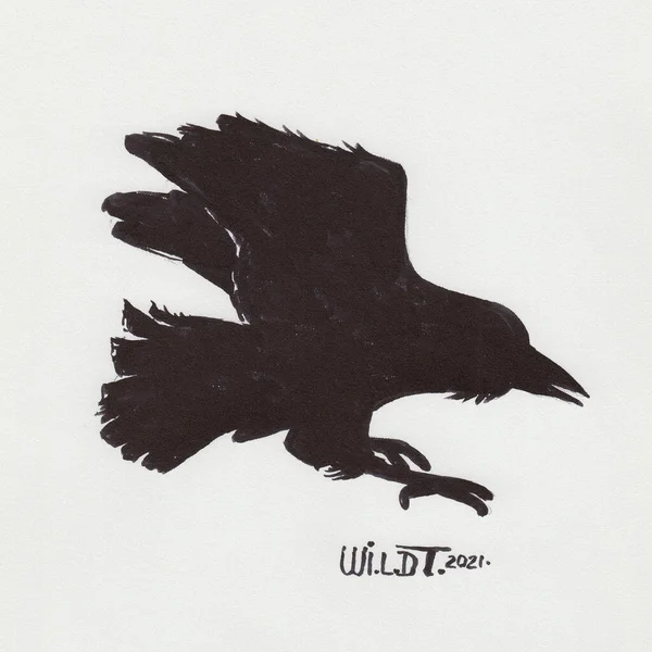 Illustration of the silhouette of a flying black raven on white paper