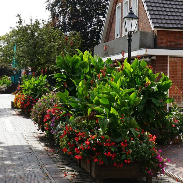 Una Ciudad Decorada Con Flores Grandes Maceteros Llenos Flores Colores — Foto de Stock