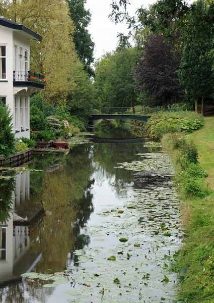 Vue Panoramique Sur Une Rivière Hollande Partiellement Couverte Plantes Aquatiques — Photo