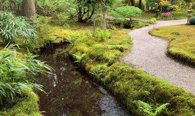 Karanlık su, yosun, bambu ve diğer çalılarla dolu bir dere. Yeşil senfoni. Hepsi barışçıl bir Budist tarzında yaratıldı. Konum: Clingendael 'deki Japon bahçesi (Lahey, Hollanda)) 