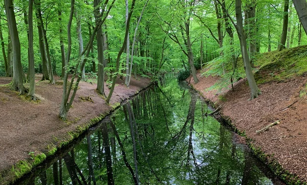 Impressive Canal Trees Both Sides Trees Reflect Water Always Dark — Stock Photo, Image