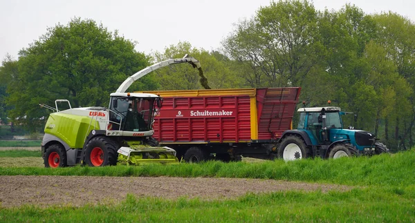 Hoogstede Lower Saxony Germany May 2021 Today Grass Collected Farmers — Stock Photo, Image