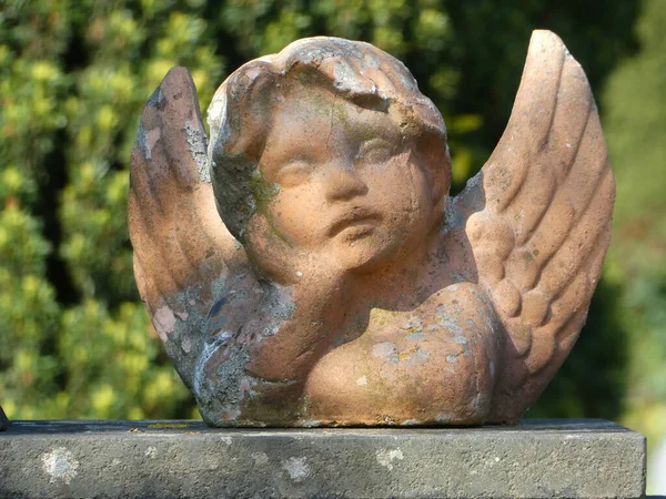 Cara Anjo Inocente Feito Pedra — Fotografia de Stock