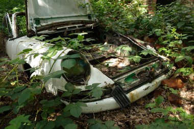 Emlichheim, Aşağı Saksonya, Almanya - 17 Temmuz 2021 Eski paslı beyaz Porsche böğürtlen çalıları ile kaplı