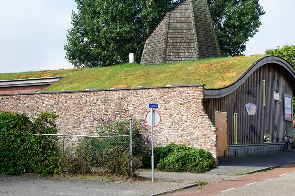 Hardenberg Netherlands August 2021 Green Roof Nature Information Center Netherlands — Stock Photo, Image