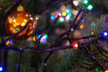 Renkli peri ışıkları yeşil Noel ağacı dallarına dolanmış. Işıklar şenlikli bir atmosfer yaratır. Arka planda parlak parlak turuncu bir mücevher asılı.