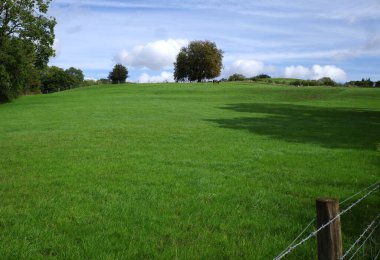 İngiltere, Wick Golden Valley Doğa Rezervi 'nde yavaşça akan yeşil alanlar. Manzara, yemyeşil çimenler, birkaç dağınık ağaç ve beyaz bulutlu huzurlu bir gökyüzüne sahiptir..