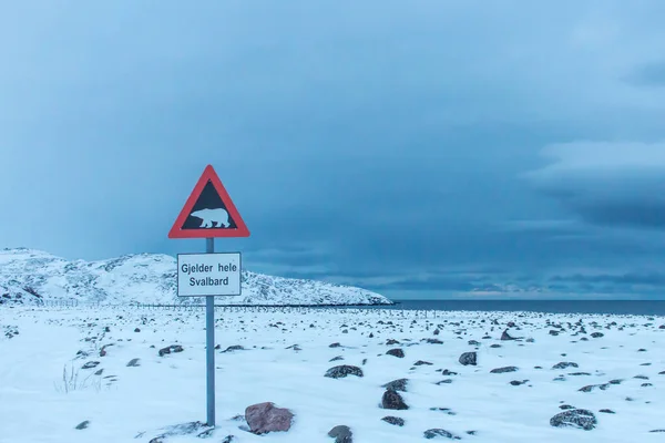 Rosja, obwód Murmański, wieś Teriberka. Znak drogowy z niedźwiedziem "Rozciąga się na całą Svalbard" za kołem podbiegunowym na dalekiej północy na brzegu Morza Barentsa w mroźną zimę — Zdjęcie stockowe