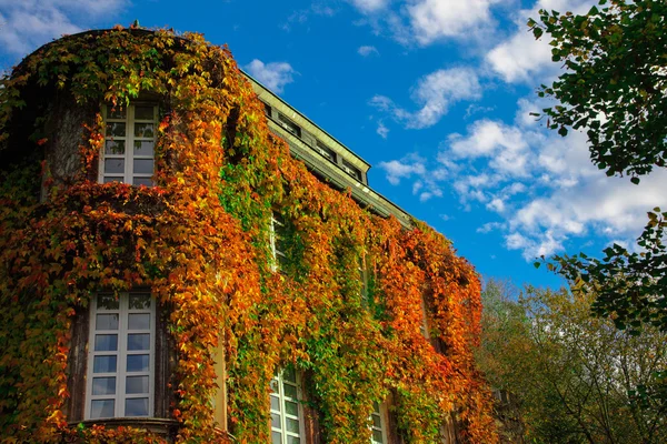 Huis in de herfst — Stockfoto