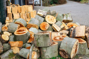 Günlükleri sütunlar için pişman