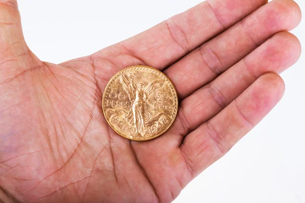 50 peso gold coin in a hand — ストック写真
