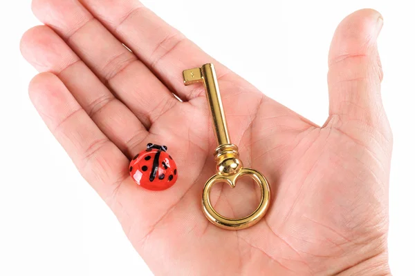 La chiave della felicità - Mano con una chiave d'oro e coccinelle come simbolo di felicità - ritagliato — Foto Stock