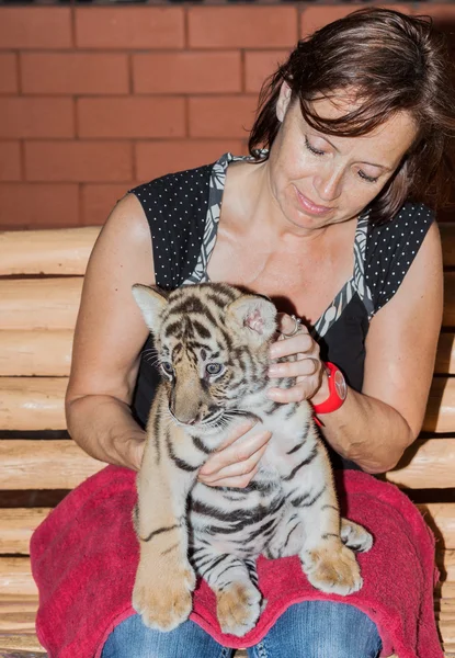 Une femme avec un petit tigre sur les genoux — Photo