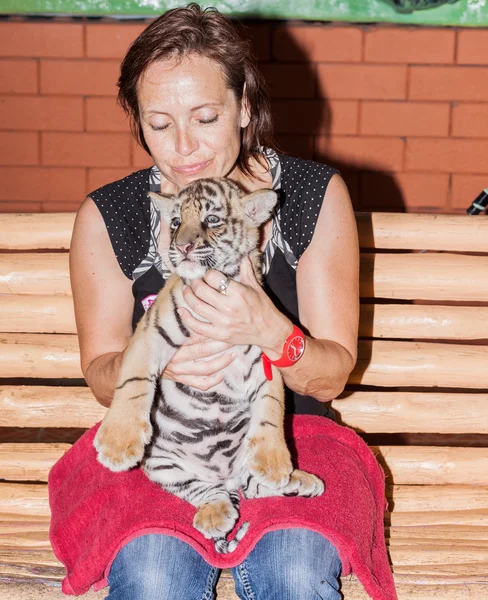 Une femme avec un petit tigre sur les genoux — Photo