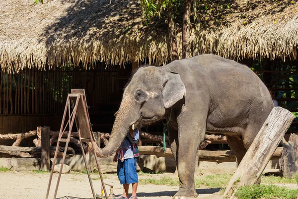 Un elefante dipinge un acquerello . — Foto Stock