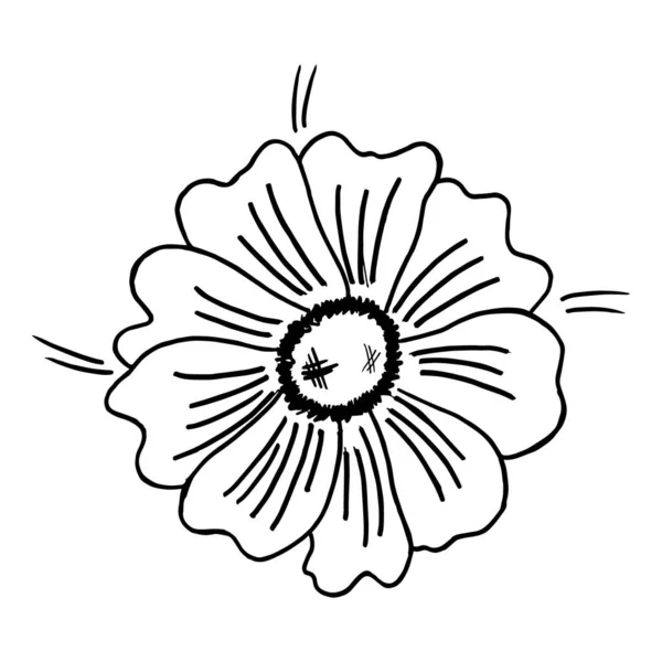 Doodle illustratie van bloem. Voorjaarsseizoen. Met de hand getekend eenvoudig element. St Vaentines of Moederdag wenskaart. Handgetekende vector met bloemen. Bloemen natuurlijk ontwerp. — Stockvector