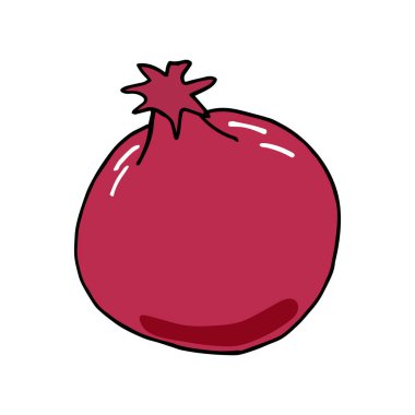 Garnet renkli vektör çizimi beyaz arkaplanda izole edildi. El çizimi tarzı, güzel karalama sanatı. Doodle vektör çizimi. Bahçe işleri için meyveler. Sağlıklı beslenme.