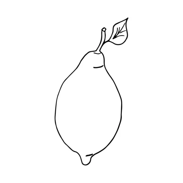 Vector hand getekend citroen. Citroen icoon in doodle stijl. Tropisch fruit. Perfect voor zomer design. Citroen vector illustratie voor print, web, mobile en infographics. — Stockvector