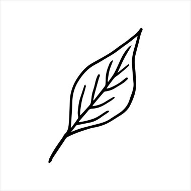 Beyaz arka planda şirin bir dal parçası. Çizim tarzında el çizimi bir vektör çizimi. Bahar tasarımı elementleri Kartlar ve dekorasyonlar için uygun. Kağıda, kumaşlara, tabaklara, posterlere, kupalara baskı yapmak. Yapraklar