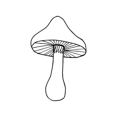 Karalama tarzında şirin bir mantar. Siyah ve beyaz vektör çizimi. Sonbahar dekorasyonu. Orman mantarı. Beyaz arka planda izole edilmiş. Renklendirme sayfaları, taslak, özet